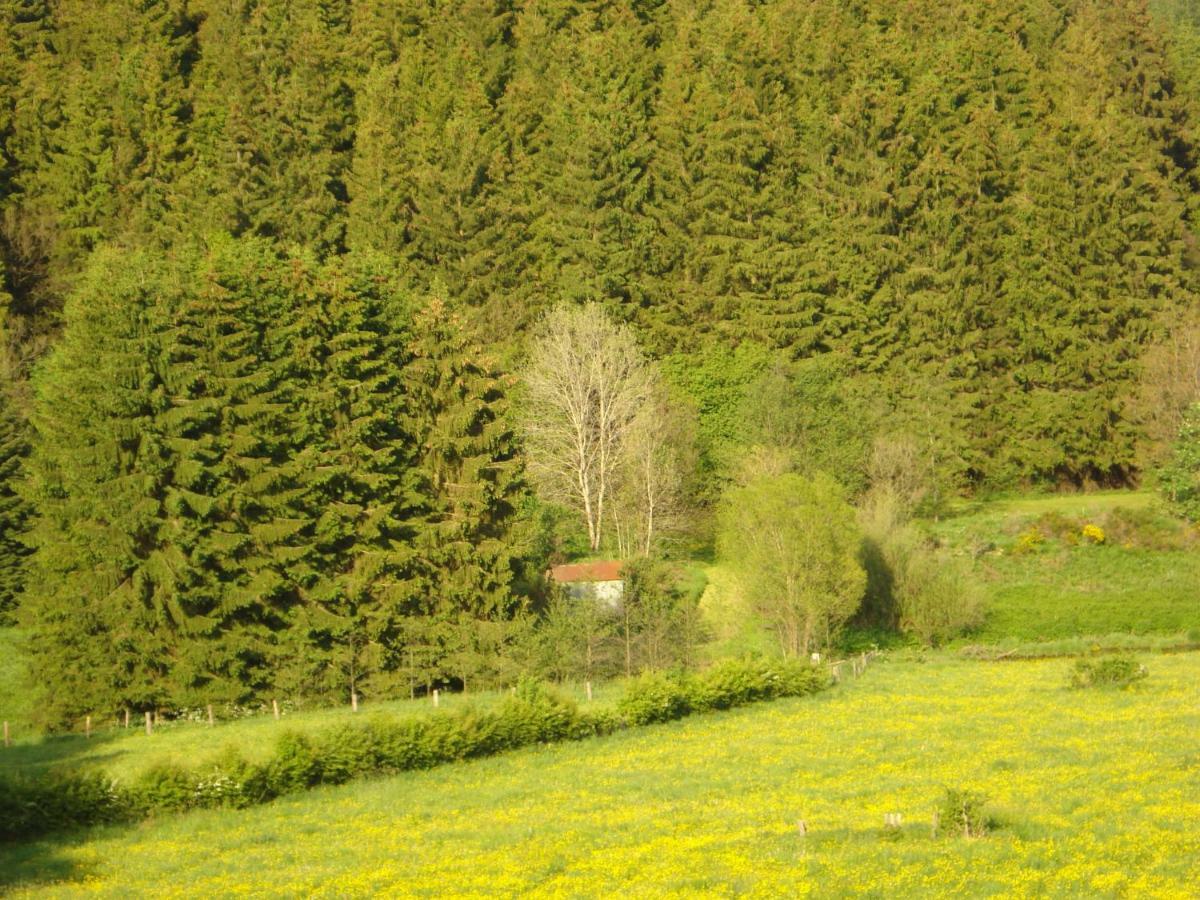 Location Panoramagreen Burg Reuland Esterno foto